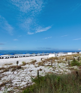 Gorgeous Beaches at Hidden Dunes