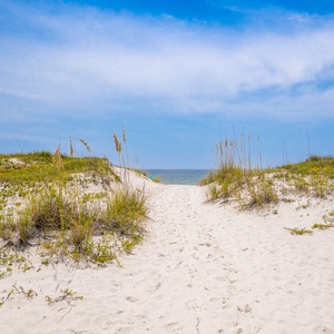 Take the sandy path to the beach, surrounded by lush greenery and a stunning view of the water ahead just steps from Sea Oats