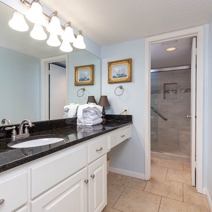 Master bathroom featuring a spacious vanity, elegant decor, and a refreshing walk-in shower