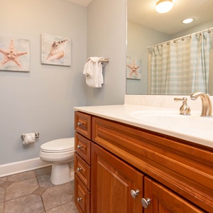Additional half bathroom featuring a spacious vanity, stylish decor, and a relaxing tub/shower