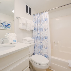Backbay 207-25
