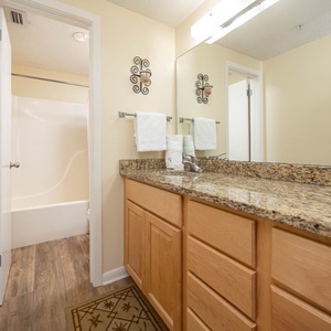 Experience the master bathroom with a spacious countertop, ample storage, and a relaxing tub-shower for unwinding