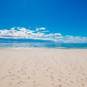 Plantation West Property-19