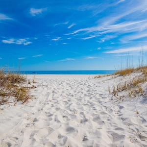 Regatta Property-12