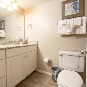 The guest bathroom features a spacious granite countertop, neatly arranged towels, and a decorative seahorse artwork