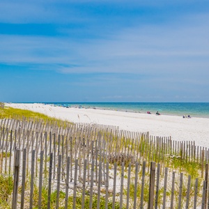 Enjoy the beauty of the sandy beach meeting the gentle Gulf waters