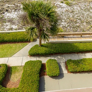 Relaxing view of the beach with gentle waves lapping against the shore, framed by lush greenery and a wooden walkway