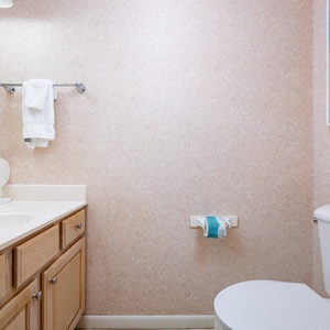 Light wood cabinetry complements the vanity in the half bath, featuring plush towels