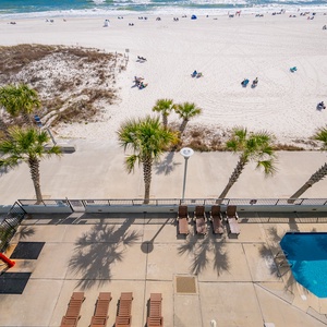 Lounge poolside beneath tall palms while laughter and splashes signal beach fun and adventure
