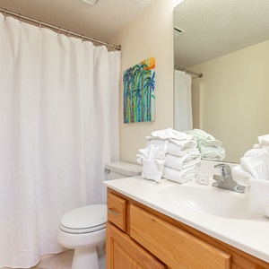 Refresh in this guest bath featuring a spacious vanity, neatly stacked towels, and vibrant coastal art