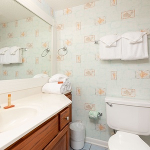 The guest bathroom features a light blue tiled wall, a vanity with a sink, and neatly stacked white towels for guests