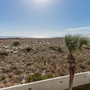 Gulf views stretch beyond the lush greenery, framed by swaying palm trees under a clear blue sky