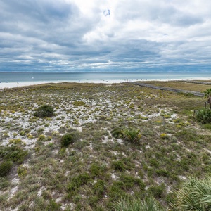 Lush greenery and vibrant wildflowers lead to the beach, offering a serene view of the gulf and beachgoers