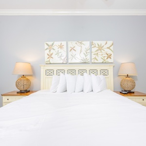 Oasis 502-30