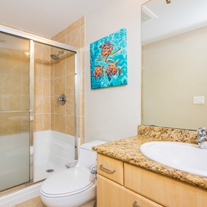 Bright guest bath featuring a walk-in shower, granite countertops, and a colorful sea turtle artwork for a refreshing vibe