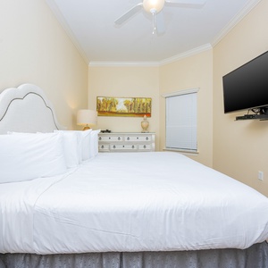 Oasis 2310-4