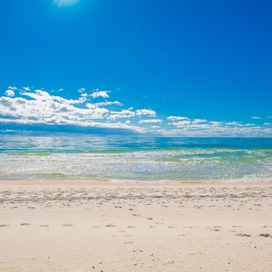 Plantation West Property-22