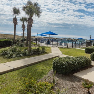 Lush greenery and palm trees frame the pathway leading to the pool area, with vibrant blue umbrellas inviting relaxation