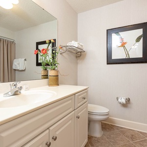 Enjoy the guest bathroom featuring a spacious vanity, elegant decor, tub/shower, and fresh flowers for a refreshing vibe
