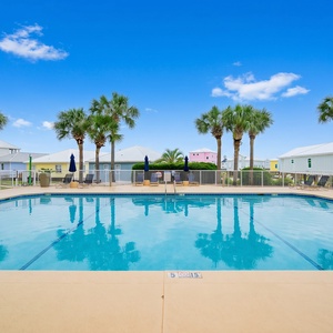 Relax by the pool surrounded by palm trees, with a glimpse of the beach just beyond for a perfect getaway experience