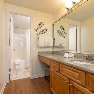 The master bathroom featuring a spacious vanity with wooden cabinetry, decorative fish accents, and a tub/shower combo