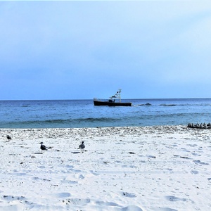 Spot a fishing boat drifting on the gulf while seagulls stroll across the open beach near the shoreline