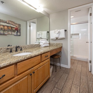 The master bathroom features a granite countertop, a modern walk-in shower, and neatly arranged towels