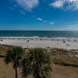 Enjoy stunning beachfront views from this inviting space, featuring lush palm trees and a serene atmosphere