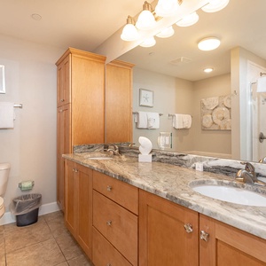 Spacious master bath featuring dual sinks, ample storage, jetted tub, and a stylish walk-in shower