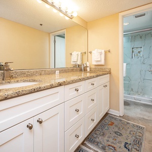 Master bath featuring a spacious granite countertop, modern fixtures, and a stylish walk-in shower visible through the door