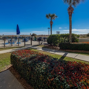 Lush landscaping frames a view of the pool area with blue lounge chairs and umbrellas against a vibrant blue sky