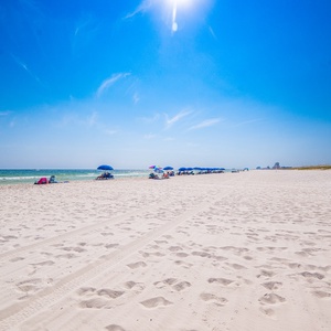 Wind Drift Property-36
