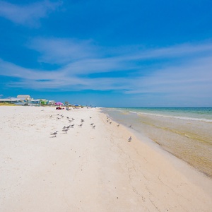 Soak up the sunshine and coastal breeze along the beautiful Gulf shores