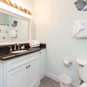 Brightly lit guest bath featuring a large mirror, dark countertops, and colorful fish-themed shower curtain for a fun vibe