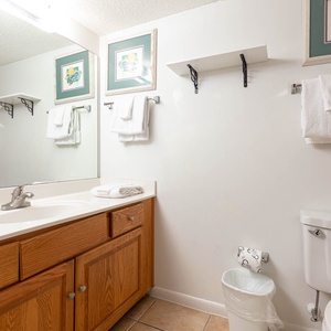 Refresh in this guest bath featuring a spacious vanity, ample storage, and bright lighting for your convenience