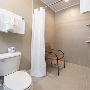This bathroom features an accessible roll-in tile shower with a shower chair and modern fixtures for a comfortable experience