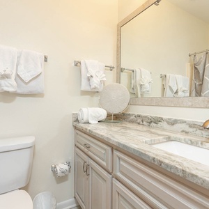 Guest bathroom featuring a stylish vanity with a spacious countertop, decorative towels, and a patterned shower curtain