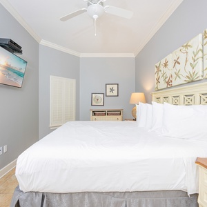 Oasis 502-31