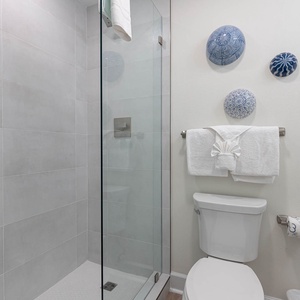 This bathroom features a sleek glass walk-in shower, elegant blue decor, and fresh towels for a refreshing experience