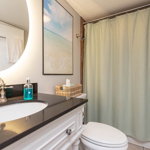 The bathroom features a sleek black countertop, a stylish round mirror, and a calming green shower curtain