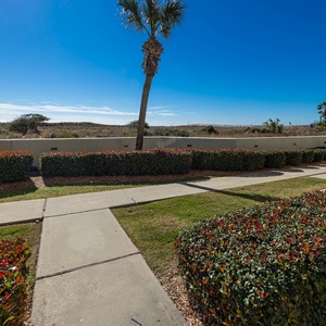 Lush greenery and palm trees frame a sunny pathway leading to the beach, inviting leisurely strolls in a tranquil setting