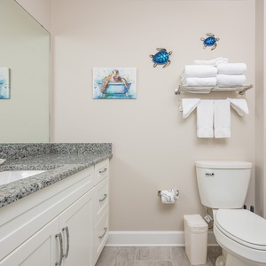 Cheerful turtle artwork will bring a smile to your face during your morning routine in the guest bath