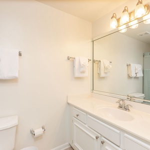 Guest bathroom featuring a large mirror, ample counter space, and a shower with a light blue curtain