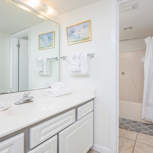 The master bathroom features a large mirror, modern fixtures, and a tub/shower combo with a stylish shower curtain