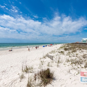 Lotus Blossom House - 04