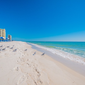 Perdido Sun Property-26