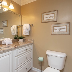 Bright guest bathroom featuring a spacious vanity with granite countertops, decorative artwork, and neatly arranged towels