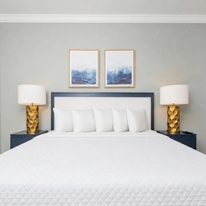 Spacious guest bedroom featuring a large king bed, soft pillows, and stylish lamps for a restful stay