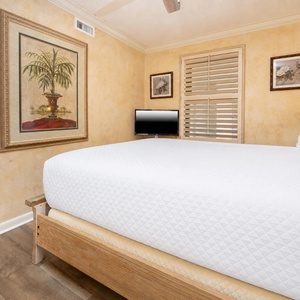 Cozy guest bedroom featuring a queen bed, wall art, and a TV, with warm tones and natural light from the window