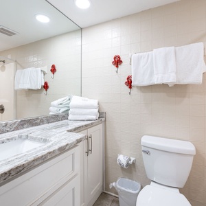 Bright guest bathroom featuring a stylish countertop, fresh towels, and decorative accents
